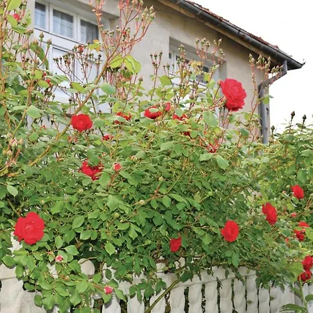 Сasa de vacaciones Four-bedroom Holiday In Village Velika